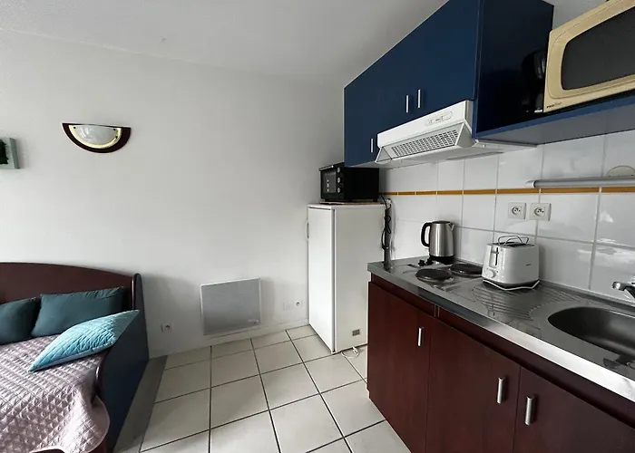 T2 Pres Des Thermes Avec Piscine Et Wifi - Fr-1-541-139 Apartment *